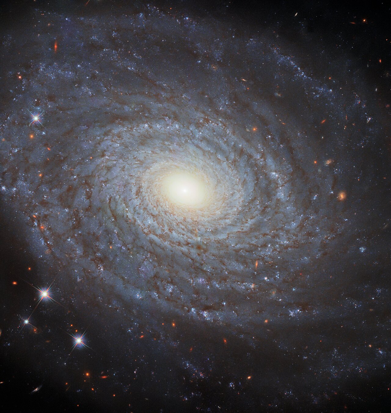 Stars-691
