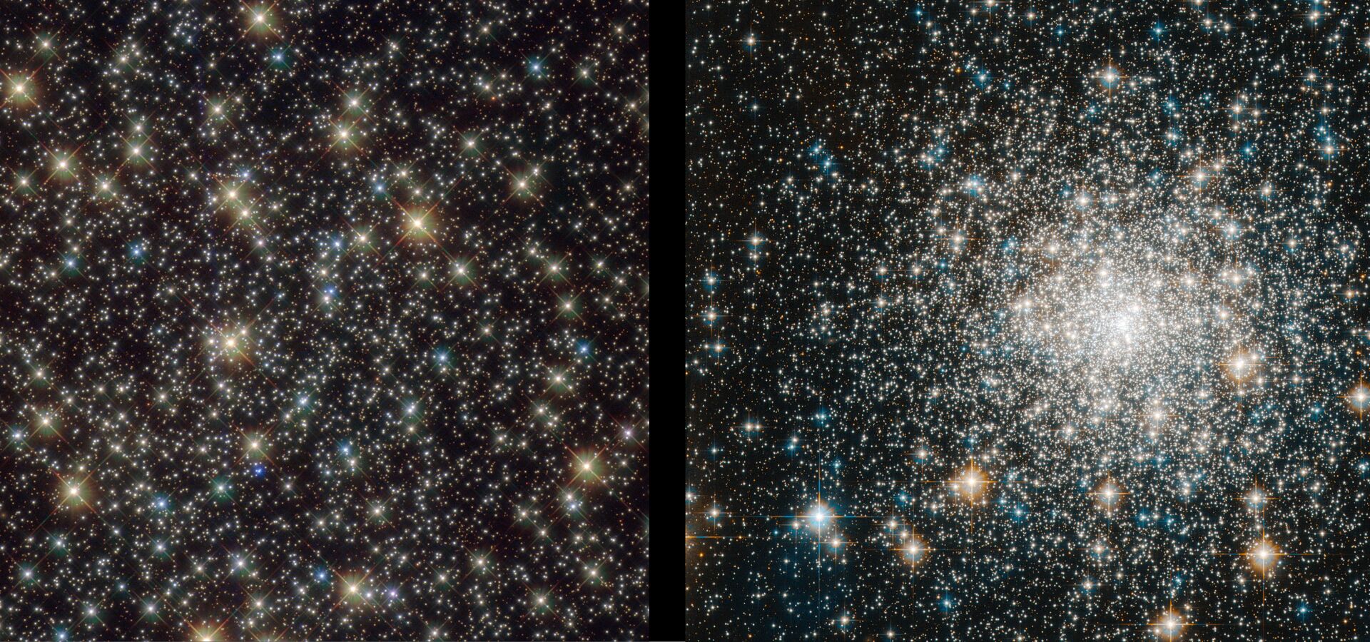 Globular cluster targets that revealed “forever young” stars