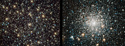 Globular cluster targets that revealed “forever young” stars