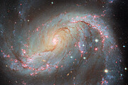 NGC 1672 (without SN)