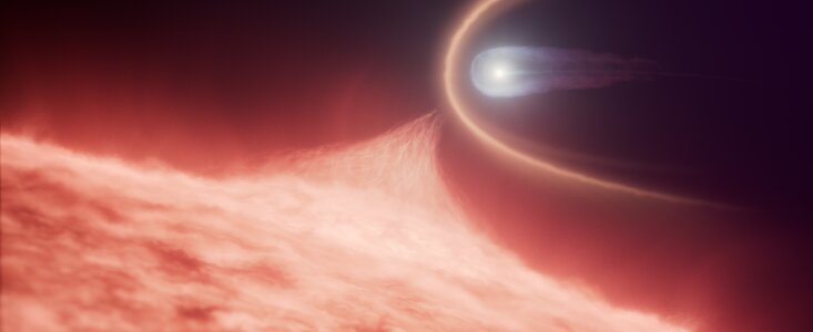 Merging white dwarf remnant (artist impression)