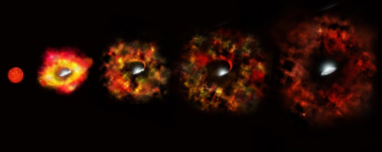 N6946-BH1 failed supernova (artist's impression)