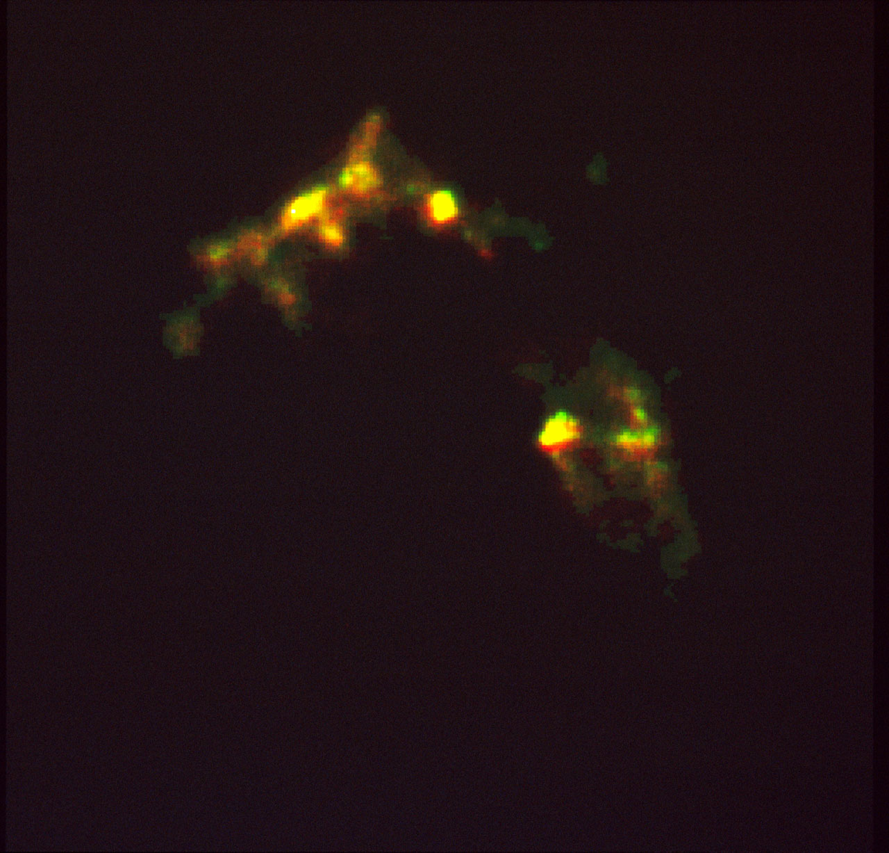 ESA/Hubble opo9309a