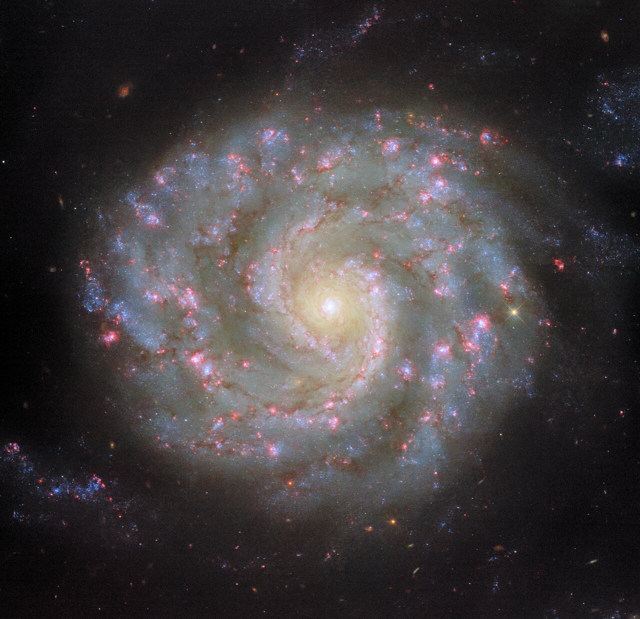 Face to face with a spiral’s arms