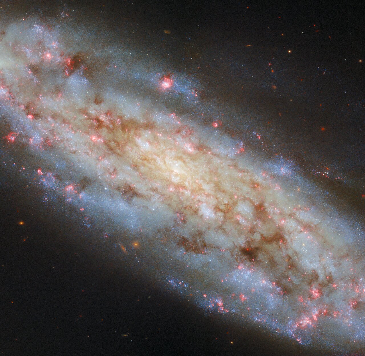 A spiral so inclined