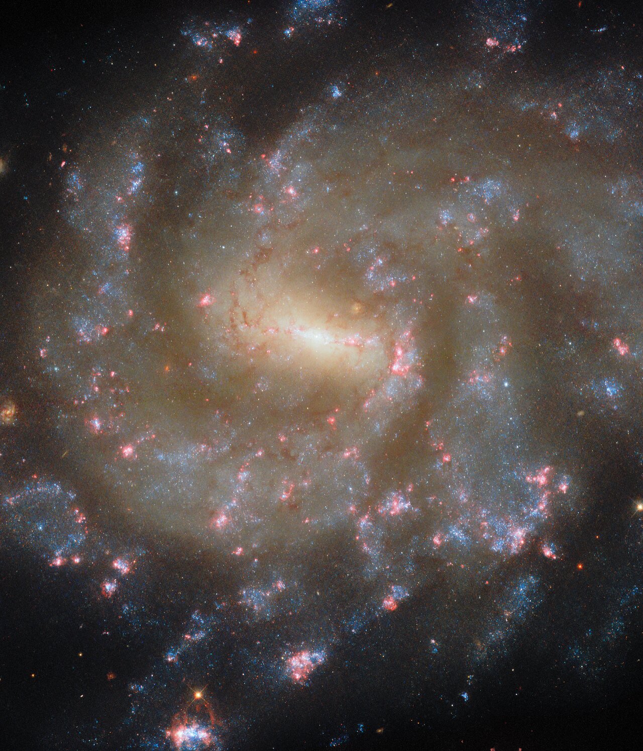 Starry spectacle