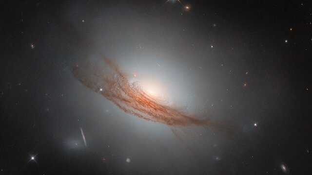 Dark rings and new light