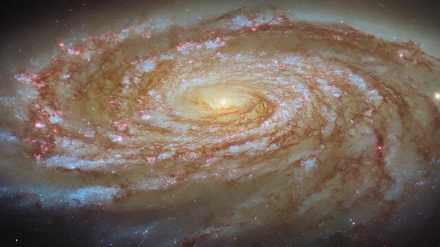 Journey to the centre of a galaxy cluster