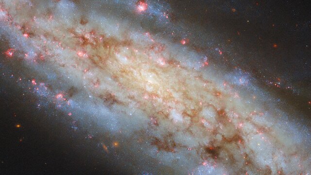 A spiral so inclined