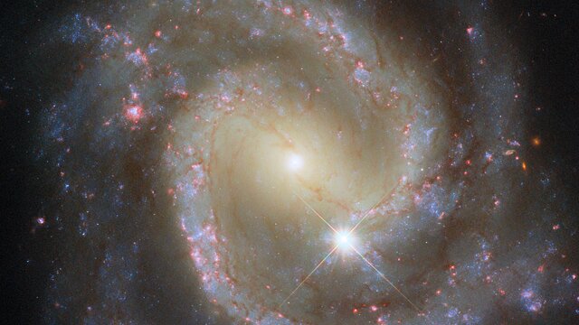 Paired pinwheel seen solo