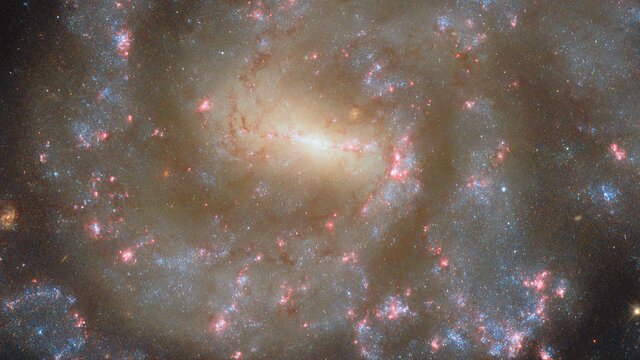 Starry spectacle