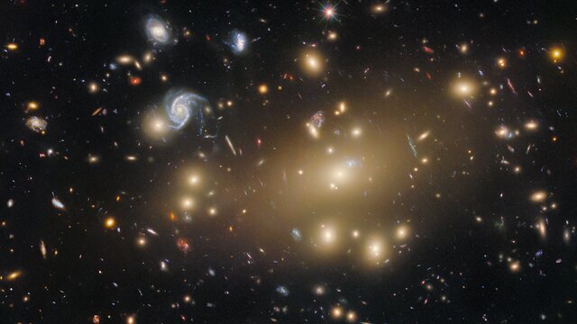 Portrait of a galaxy cluster