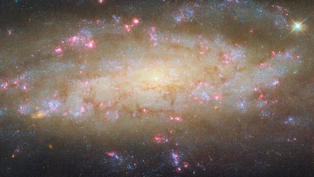 A galaxy with lots to see