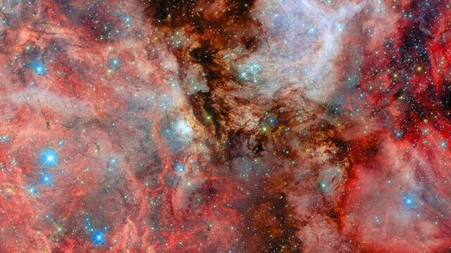 A neighbouring vista of stellar birth