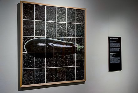 Our Place in Space — Kosmische Zwangsläufigkeiten #2