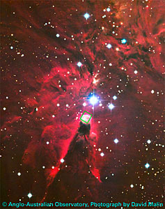 Cone Nebula
