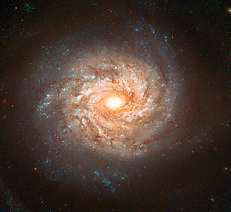 Galaxy NGC 3982