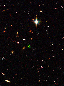 The cluster TNJ1338-1942 (overview)