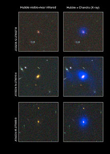 Dust-enshrouded supermassive black holes
