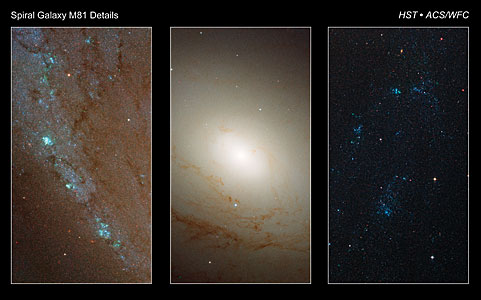 Detailed images of spiral galaxy M81