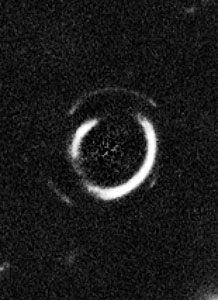 Close-up on double Einstein ring
