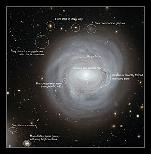 Annotated view of NGC 4921