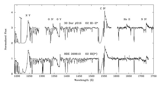 Hubble observations of massive stars in the Large Magellanic Cloud