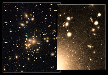 Globular clusters within Abell 1689