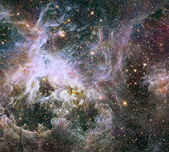 New Hubble infrared view of the Tarantula Nebula