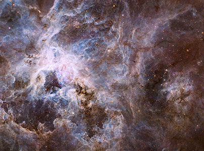 Hubble optical view of the Tarantula Nebula