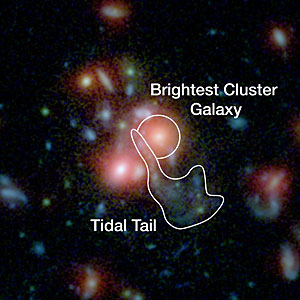 Image of the central region of SpARCS1049