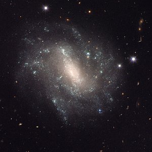 UGC 9391