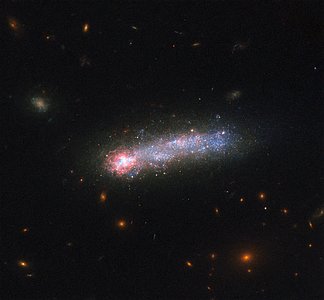 LEDA 36252, a cosmic tadpole