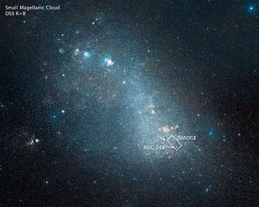 Small Magellanic Cloud and SMIDGE survey
