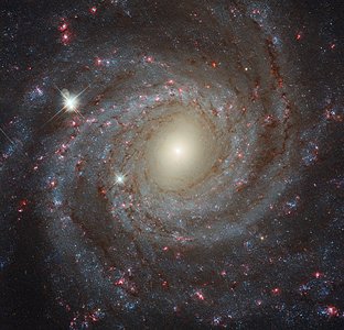 Multi-filter image of NGC 3344