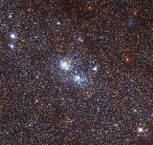 Stellar association IC 142
