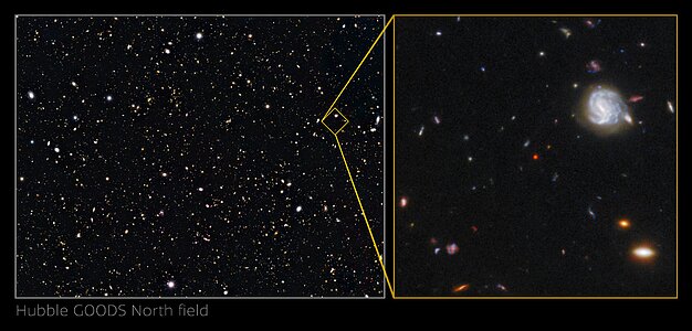 Crop of the GNz7q in the Hubble GOODS-North field