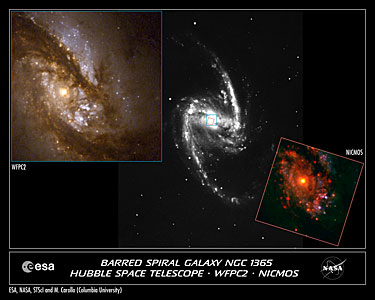 Central Bulges of Spiral Galaxies (Hubble and Ground-Based Views)
