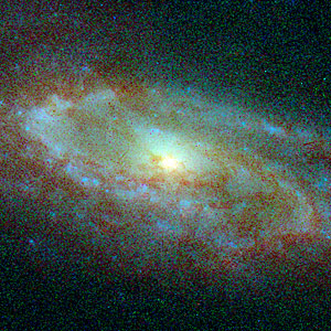 Central Bulges of Spiral Galaxies- NGC 7537 (Hubble NICMOS and WFPC2 View)