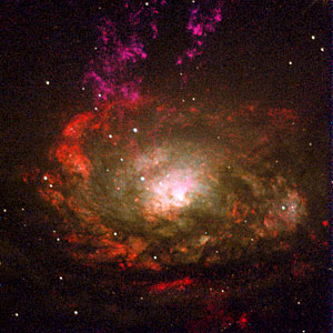 Active galaxy Circinus