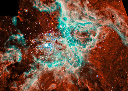 A Portrait of R136