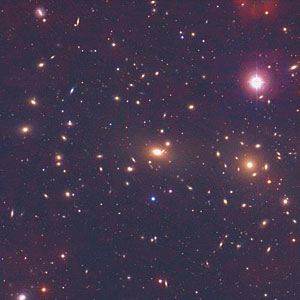 A cluster of galaxies  - coma cluster [NOAO]