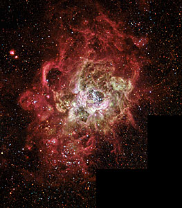Firestorm of star birth seen in a Local Galaxy