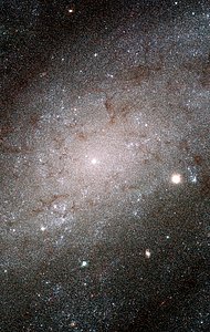 Hubble sees stars as numerous as grains of sand in nearby galaxy