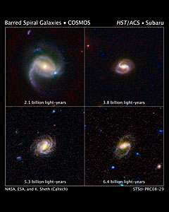 Hubble Surveys Barred Spiral Galaxies