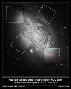 Cepheid variable stars in spiral galaxy NGC 3021