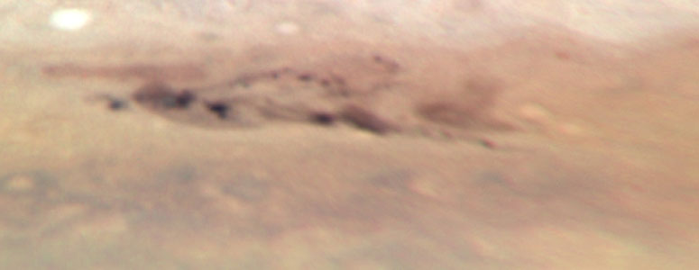 Jupiter: 8 August 2009