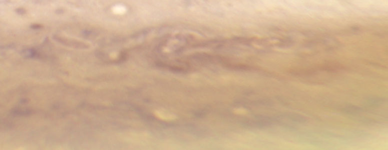Jupiter: 23 September 2009