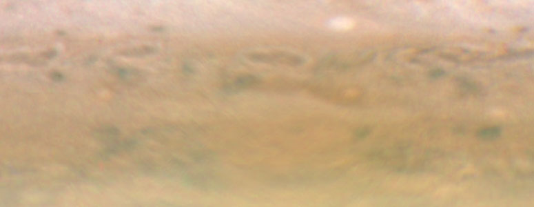 Jupiter: 3 November 2009