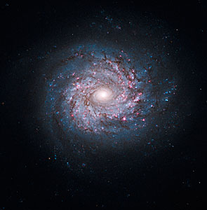 Face-on spiral galaxy NGC 3982